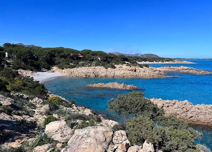 Daire Marzy Cala Liberotto